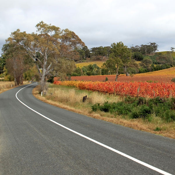 A country road winds into the distance in autumn. Photo © FreeImages/Peter Mazurek.