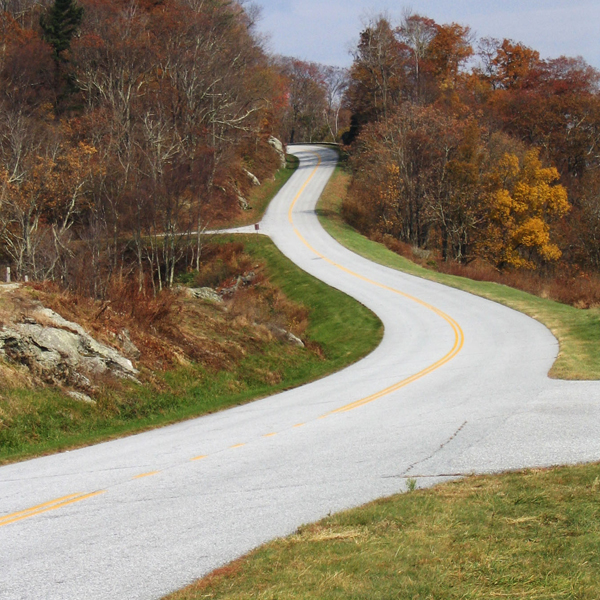 Several roads branch into the foliage, going in different directions. Photo © FreeImages/L. Emerson.