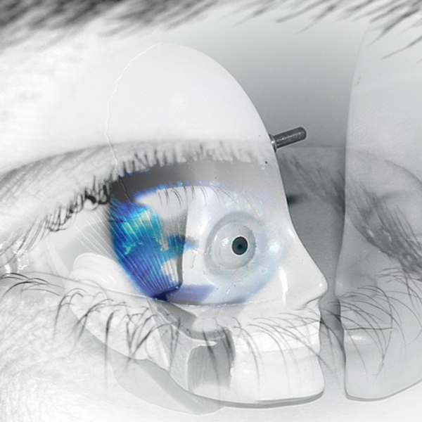 An eye, with the globe as the pupil, looks through a plastic model of the human head. (Photos © FreeImages/Avolore and joey26)