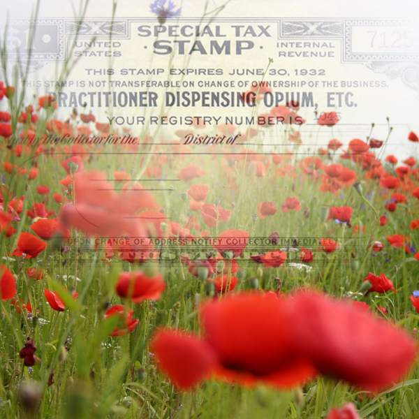 A Harrison Tax Stamp hovers over a field of poppies. (Photo © FreeImages/Gansoman)